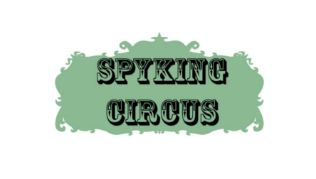 Spyking Circus